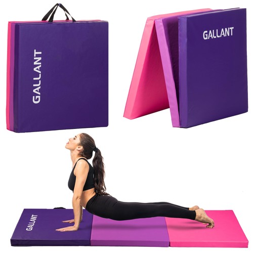Gymnastics mat gym - gymnastics,
